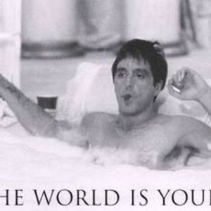 Meet your Posher, Jason